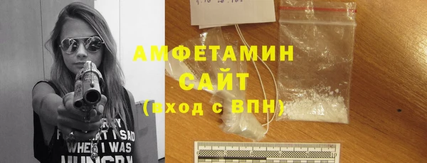 амф Новозыбков