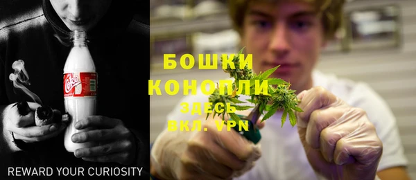 ешки Ельня