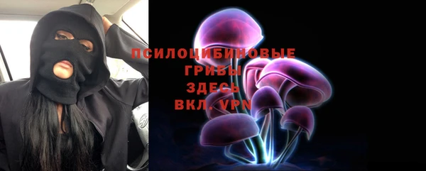 МДПВ Елизово