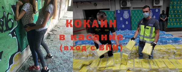 стафф Дмитровск