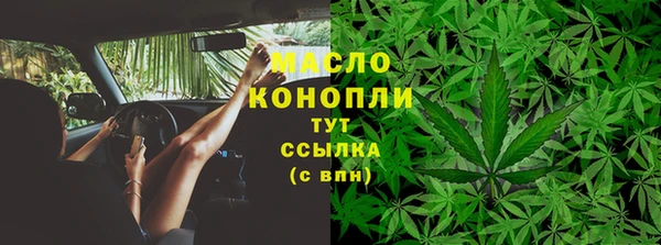 амф Дмитров