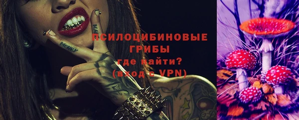 герыч Дмитриев