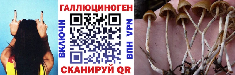 Галлюциногенные грибы MAGIC MUSHROOMS MEGA рабочий сайт Плавск